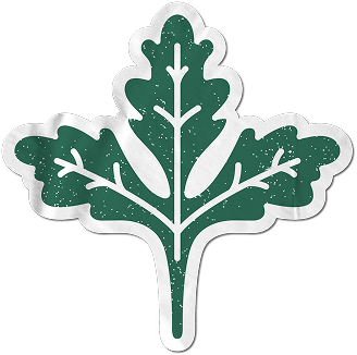 Sticker Cilantro